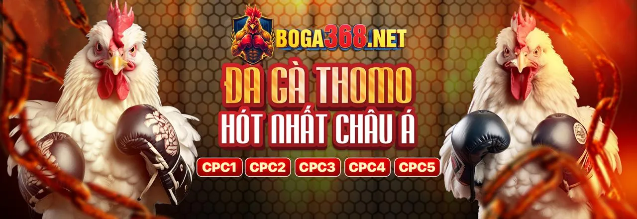 Giải Đấu Đá Gà Trực Tuyến Hấp Dẫn Nhất 2026 Cùng Suncity88 Casino